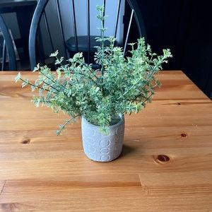 Faux Small Fern Plant with Concrete Pot